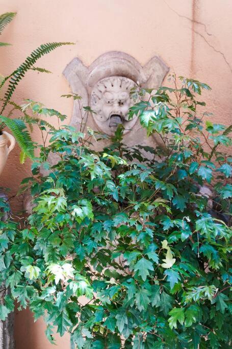 Babuino Terrace Apartment Rome Exterior photo